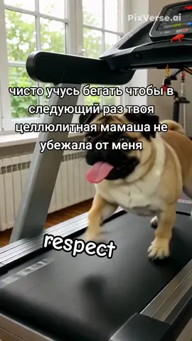 #pugs #рекомендации #мопсик #pug #мопс 