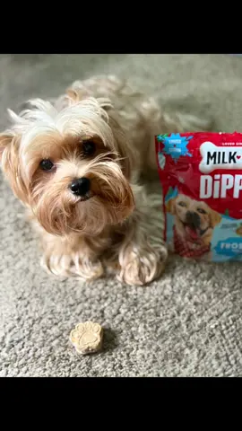 @influenster @influenster @milkbone #complimentary #MilkBoneInfluenster