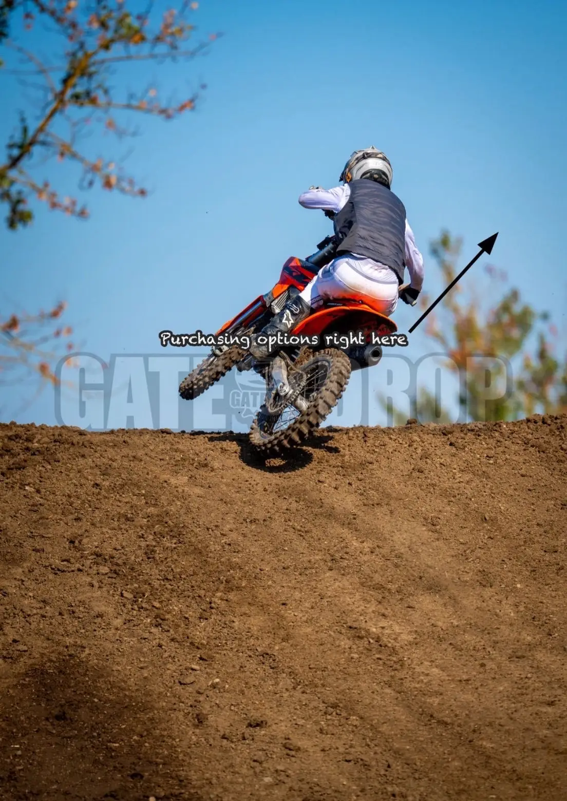 Some recents needa get back on the bike 