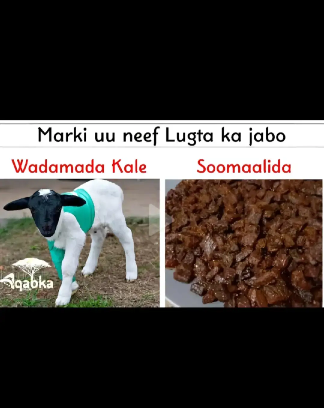 #somalitiktok #1m 