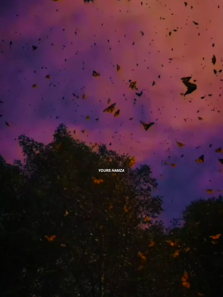 𝗙𝗘𝗘𝗟 𝗧𝗛𝗜𝗦 𝗦𝗢𝗡𝗚 #🥺🖤🥀  . . . . #foryou #fyp #foryoupage #song 