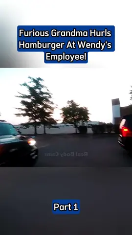 #bodycam #cops #police #policeofficer #policeoftiktok 