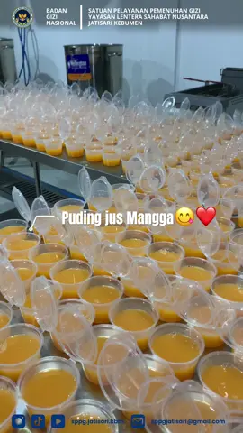 Lopyu more adek adek🫶🏻❤️#beranda #makanbergizigratis #programmakansianggratis #sppg #fyp @badangizinasional.ri 