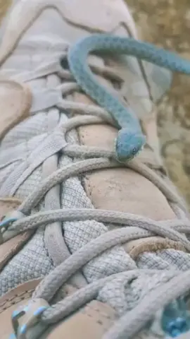 #viral #CapCut #viralvideos #foryoupage #explore 