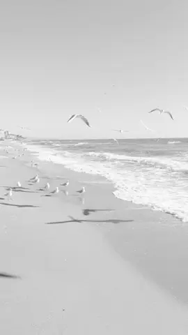 #الموصل_مدينتي_ #سهل_نينوى_النمرود 