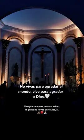 #viraltiktok #flypシ 