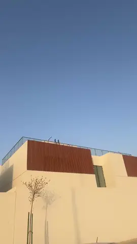 #اليوم_الوطني_السعودي_95 #اكسبلور #explor 