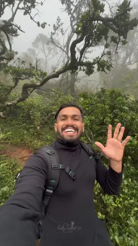 පරිස්සමෙන් දරුවෝ හොද කරන්න බෙහෙත් නෑ..🥹🍃 #travelsrilanka #riverston #soyanna