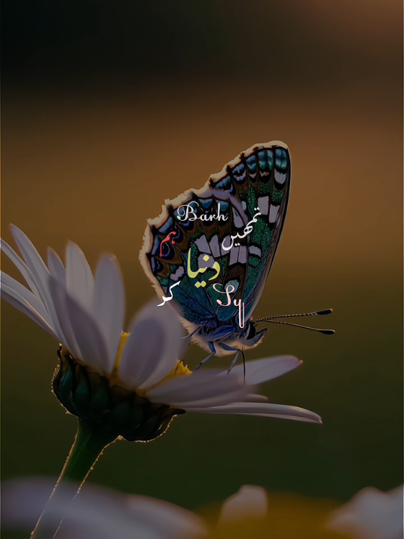 𝘿𝙞𝙡 𝙜𝙝𝙖𝙡𝙩𝙞 𝙠𝙧 𝙗𝙖𝙞𝙩𝙝𝙖 𝙝𝙖𝙞💖🌍     #song #views #foryou #plzzviralmyvideo #plzzunfreezmyaccount @TikTok @tiktok creators 