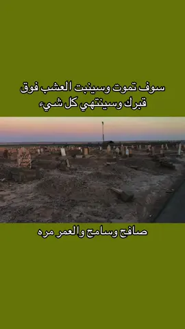 سوف تموت وسينبت العشب فوق قبرك وسينتهي كل شيء #اللهم_حسن_الخاتمة #مقبرة #شعراء_وذواقين_الشعر_الشعبي_العراقي #trend #pov 