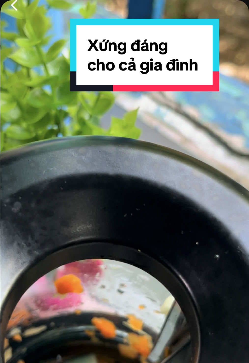 Trả lời @TiênTiên máy ép chậm MASUTO ép cả quả không cần thái nhỏ đặc biệt máy còn làm kem siêu ngon #huongluame2be #mayepcham #masuto #giadungtienloi #nuocep  @Hương lúa 🌾 (mẹ 2 bé)  @Hương lúa 🌾 (mẹ 2 bé)  @Hương lúa 🌾 (mẹ 2 bé) 