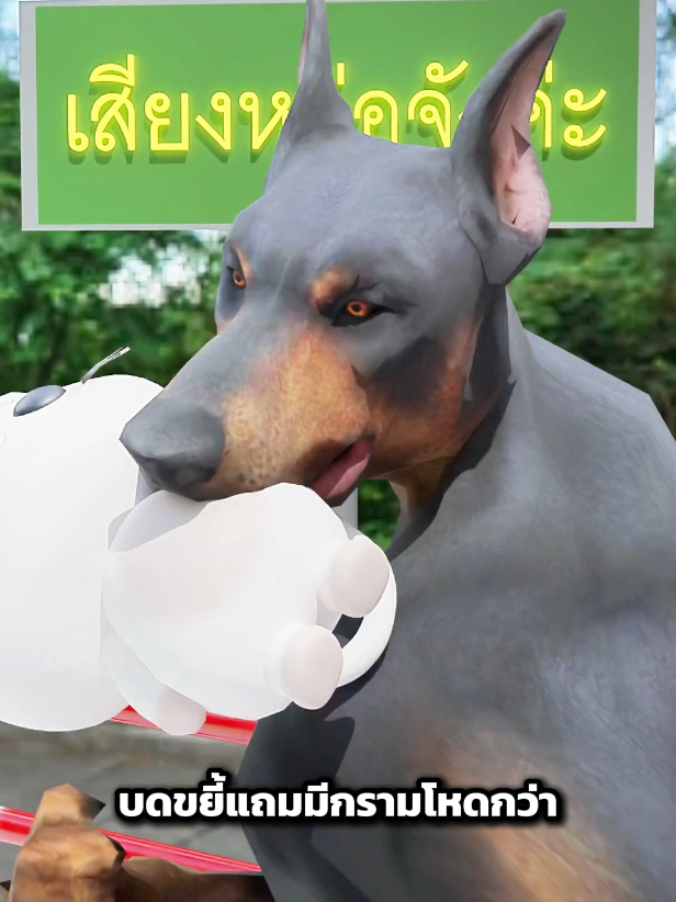 หมาสู้กับแมว ศึกตัวเท่ากันใครจะชนะ?!! 🐶🐱 #หมา #แมว #สาระ #แอนิเมชั่น #ใครจะชนะ