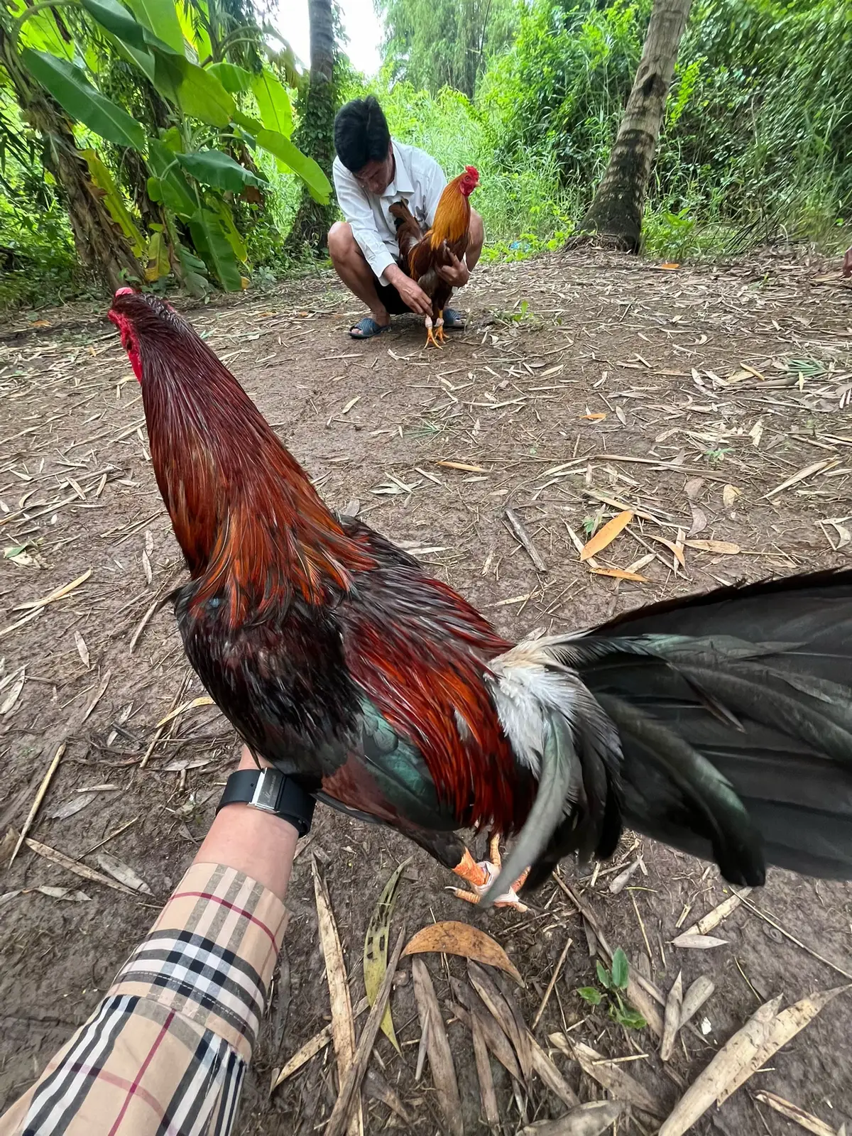 Muốn biết kết quả không ? #ga 