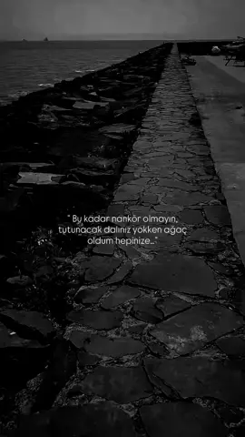 Dargınımmm herşeye….#sözlerköşkü #beniöneçıkart #keşfetbeniöneçıkar #keşfetbeniöneçıkar #tiktok 