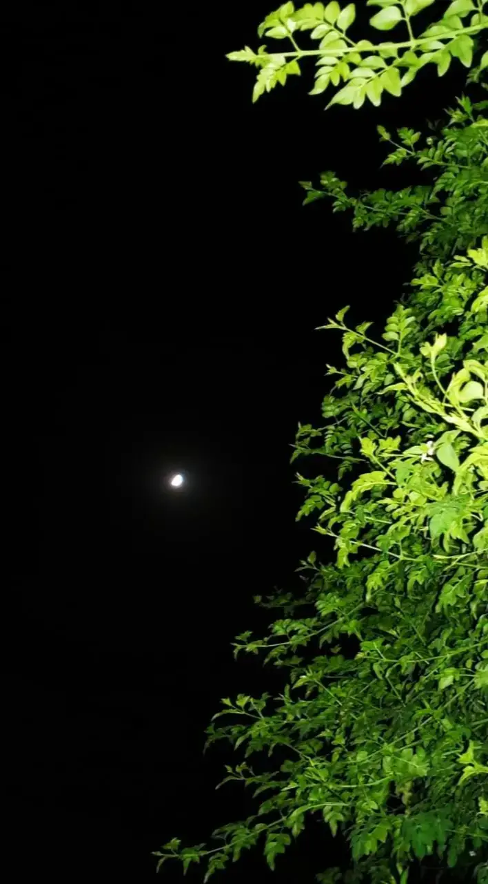 #virel #🎶🎶 #foryoupage❤️❤️ 