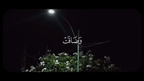 #المنشاوي #قران_كريم #تلاوات #quran 