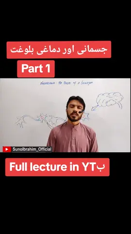 Mental strength and development in the eye of neuroscience, its a medical lecture on mental development of human beings #sunoibrahim_official #lecture #viral  #uktiktok #neuroscience 