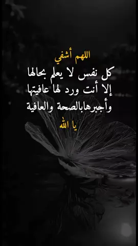 ##مجرد________ذووووووق🎶🎵💞 #عبارات_جميلة_وقويه💞📿😉🤸📿 #تصميم_فيديوهات💞📿 #كسبلور❤️❤️❤️🌸☕👋 