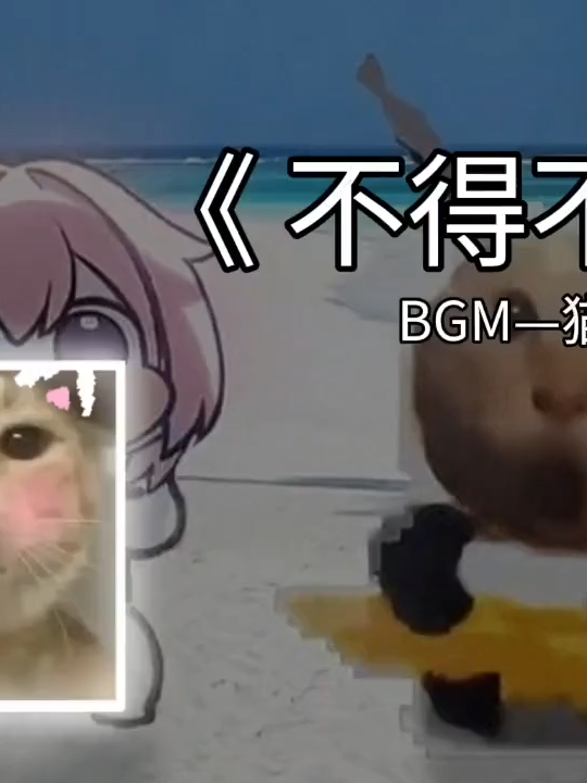 不得不哈#哈基米 #music #shorts