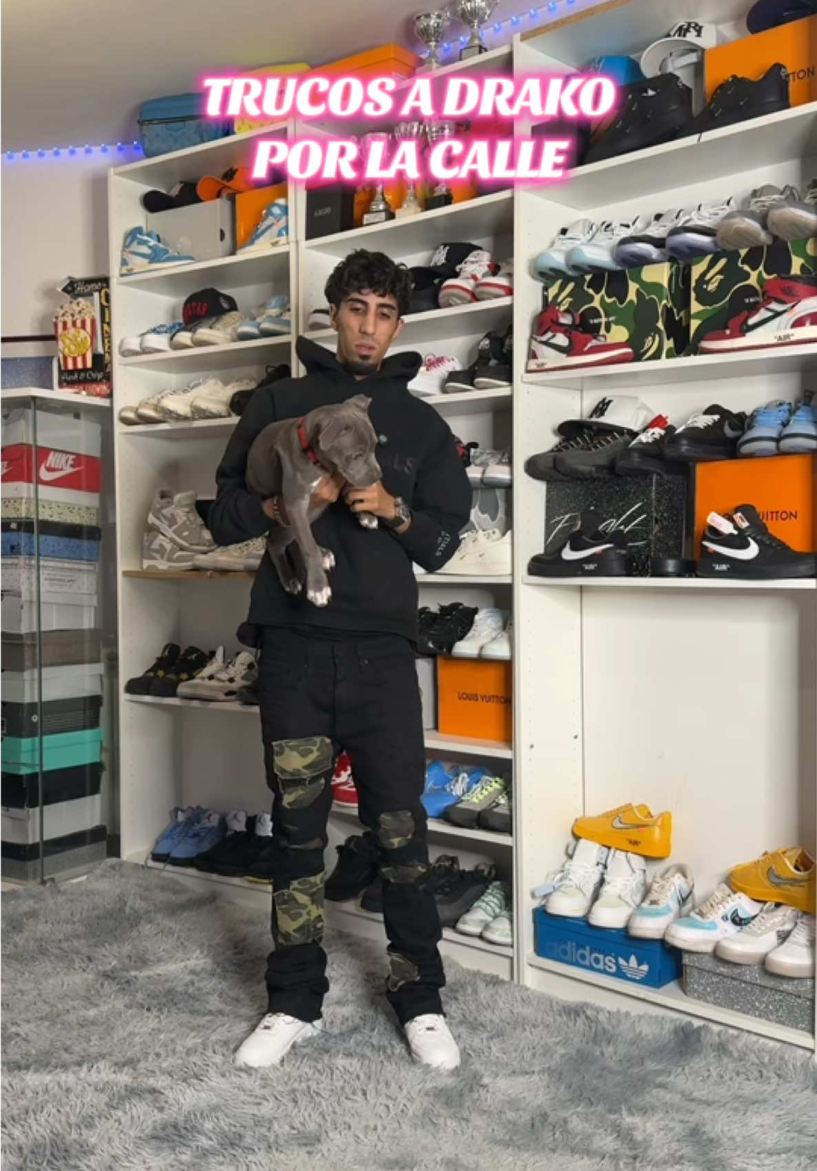 Trucos A @Drako por primera vez en la calle.                                                        Atentos a su cuenta que ahí subiré todo.   #americanstaffordshireterrier #adiestramientocanino #perros #perrostiktokers 