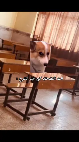 المدرس اذا شاف واحد يضحك 😂 #ميمز #رياكشن #رياكشنات #ميمز😂 #pov 