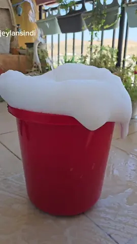 مساء الخير حبايبي ❤️ روتيني بأروع منظفات شووف @shoofco.iraq 🥰 أحسن منظف المرحاض شووف فعاليته جدآ قويية تزيل البقع الصعبة وجميع انواع البكتريا ما فيه الرائحة اللي تخنك بيها ريحة نعناع 🥰👍 