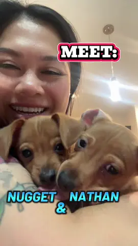 It’s been a minute (miss you guys 🥹) but I’ve had my hands full lately 🐶🐾🐶🐾 with 2 new furry patients / pup-kids. Nurse content soon! #nurse #mom #dogmom #puppies 