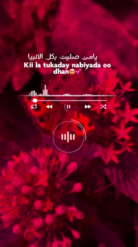 #islamicnasheed🎧🥰 #somalitiktok #viral_videos #fyp 