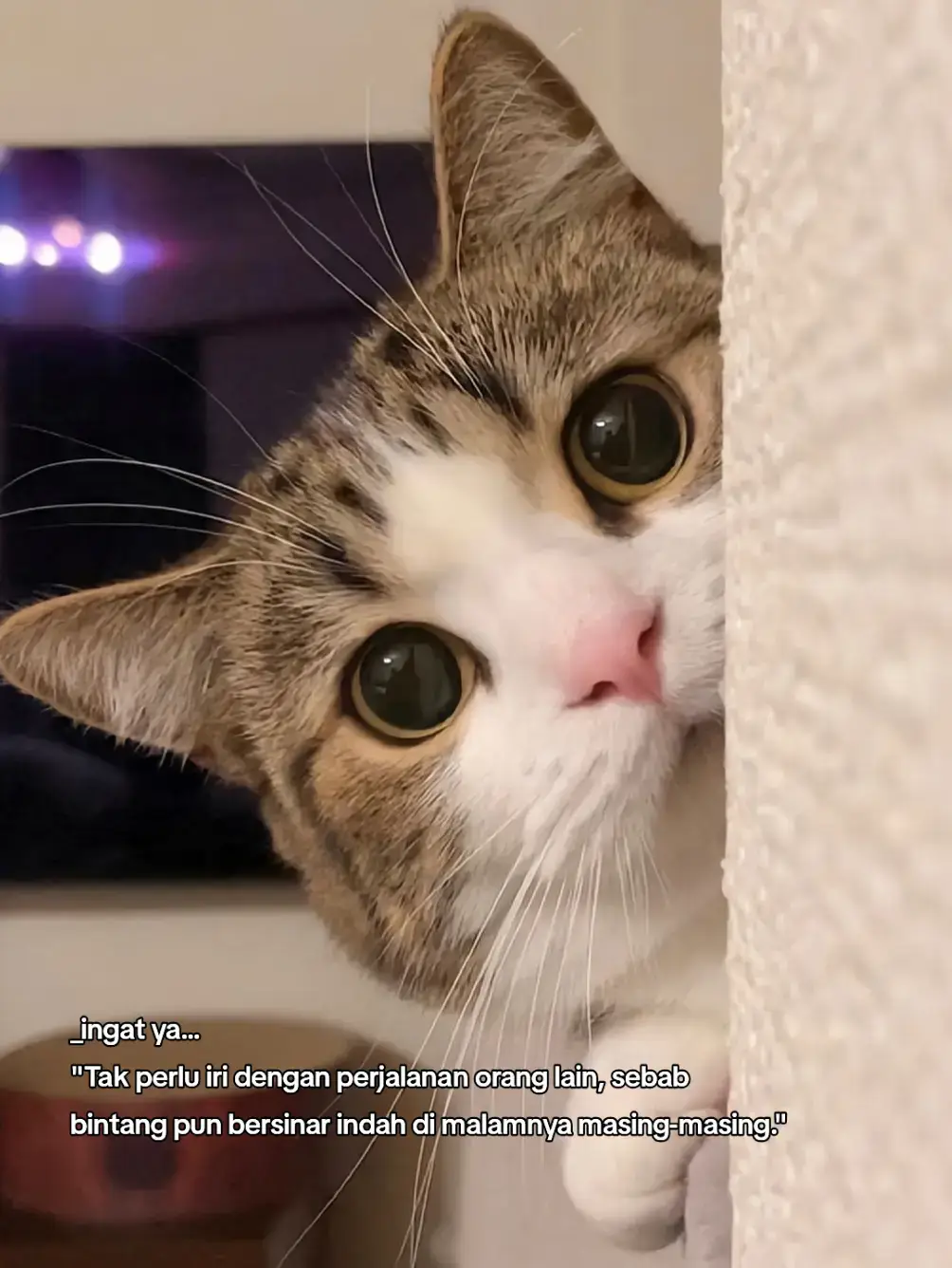 🏋️ Latihan Otot Lengan Tanpa Alat (Bodyweight) 1. Push Up → 3 set x 10–20 kali Variasi: close grip push up (lebih fokus ke triceps). 2. Tricep Dip (pakai kursi / bangku) → 3 set x 12–15 kali. 3. Plank to Push Up → 3 set x 10 kali, bagus buat bahu & triceps. 4. Diamond Push Up → tangan rapat membentuk segitiga, 3 set x 8–12 kali. --- 🏋️‍♂️ Latihan Otot Lengan dengan Alat (Dumbbell / Botol Air / Barbel) 1. Bicep Curl → 3 set x 12–15 kali. 2. Hammer Curl (genggaman lurus, seperti memegang palu) → 3 set x 12–15 kali. 3. Overhead Tricep Extension (angkat dumbbell di atas kepala, turunkan ke belakang) → 3 set x 10–12 kali. 4. Lateral Raise (angkat dumbbell ke samping) → 3 set x 12 kali, bagus untuk bahu. --- 🥗 Dukung dengan Pola Makan Protein cukup → telur, ayam, ikan, tempe, kacang-kacangan untuk membangun otot. Karbo sehat → nasi merah, kentang, oatmeal sebagai energi latihan. Air putih cukup → hidrasi penting untuk otot. --- 😴 Tips Penting 1. Latihan rutin 2–3x seminggu untuk lengan, jangan tiap hari (beri otot waktu recovery). 2. Tambahkan beban secara bertahap biar otot berkembang. 3. Kombinasikan dengan latihan tubuh lain (dada, punggung, kaki) supaya tubuh seimbang. #katakata #fyp #foryou #videomotivasi #creatorsearchinsights 