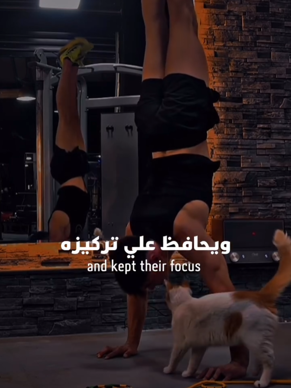 #Fitness #GymLife #fypシ゚viral #dzpower #gymrat 