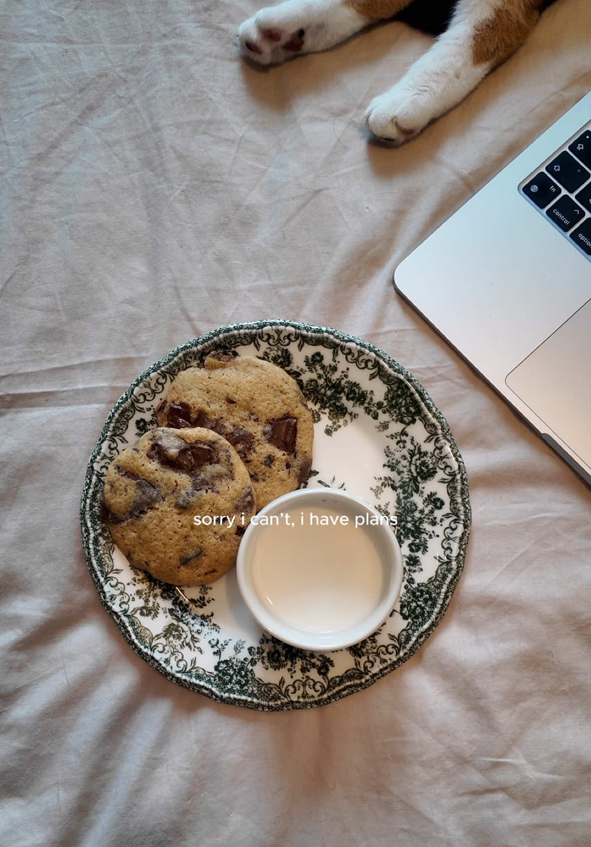planımız: 🐈 💤🥛🍪💻 #cozytok #gilmoregirls #lifestyleaesthetic #cozyseason #fypage 