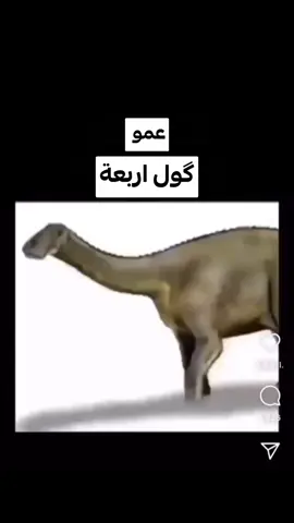 قول اربعة 4