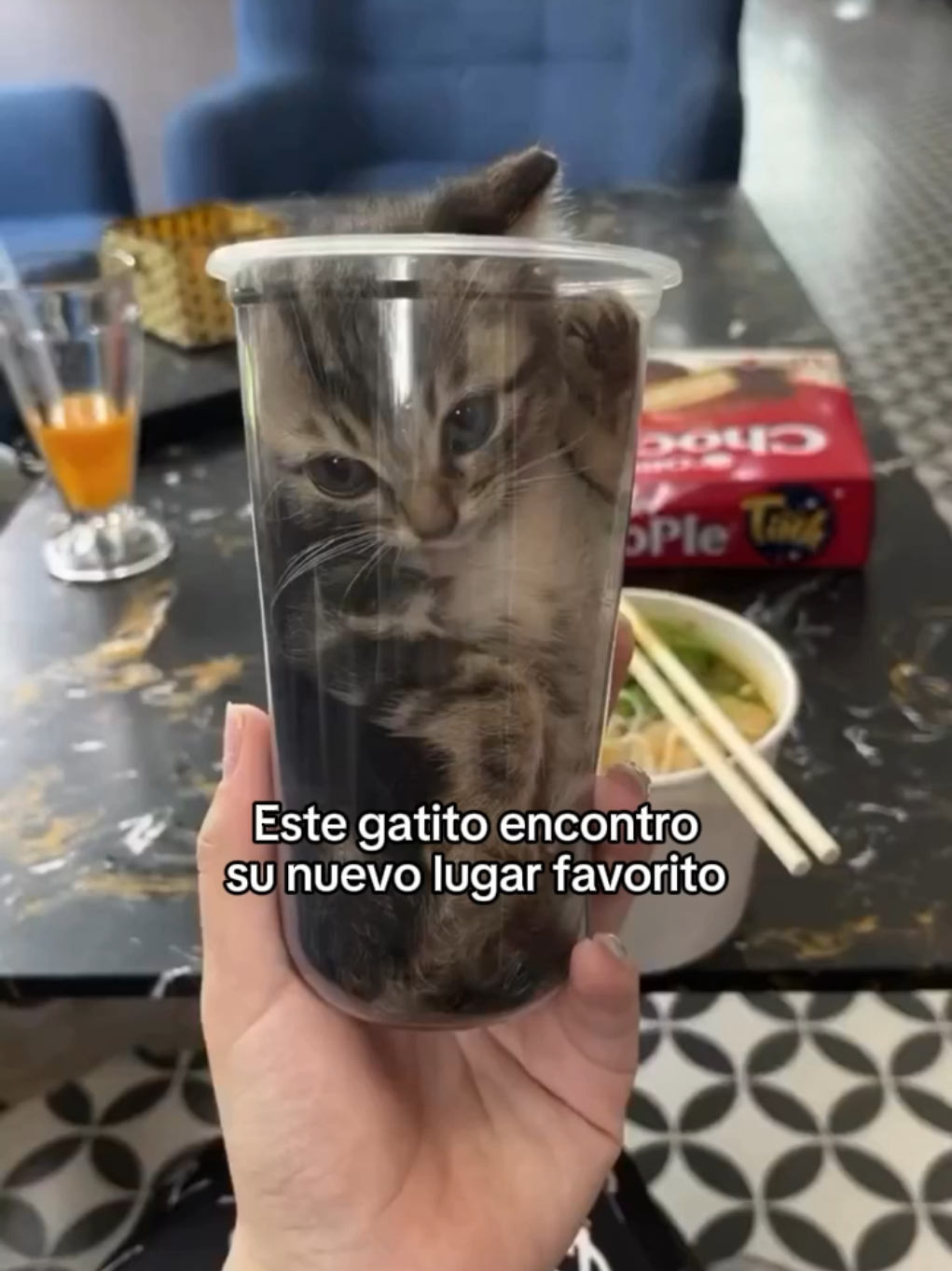 Los animales son muy puros para nosotros #wholesome #animals #animales #mascotas #fyp 