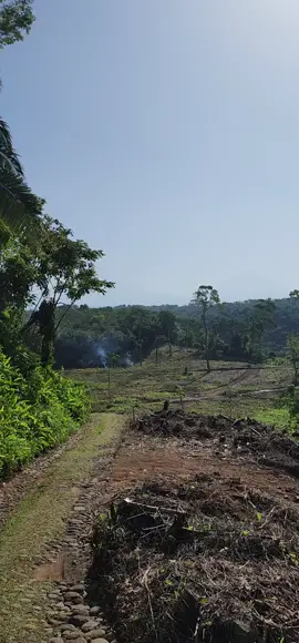 #HDSPTM #CORAZON #Partido #