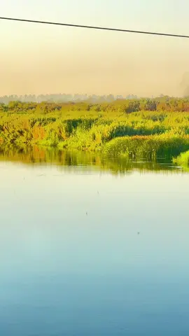 ضعن الاهل من راح 💔#تصويري_احترافي_الاجواء👌🏻🕊😴 #fyp 