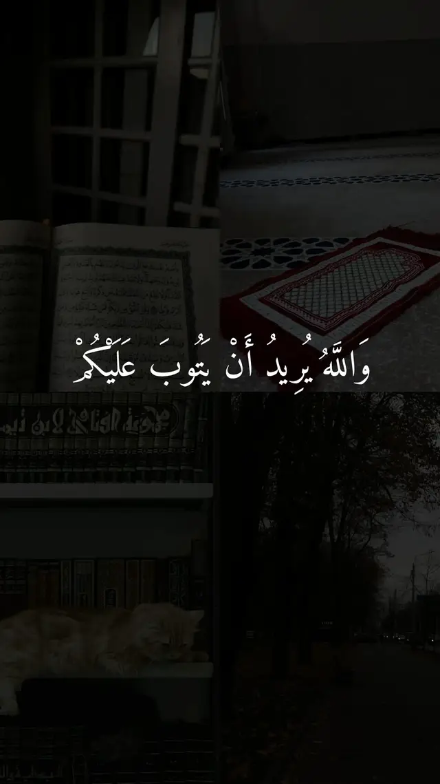 تلاوة خاشعة من القارئ احمد النفيس ❤️🤎#explore #تلاوة_خاشعة #foryoupage #احمد_النفيس #fyp 