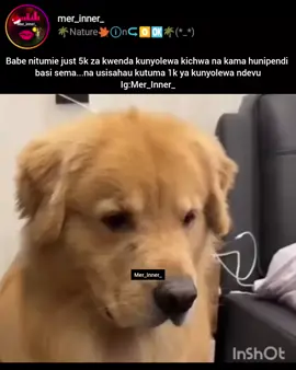 table turns fanya haki 😂😂 #mer_inner_ #kenyanmemes #memeskenya #memeskenya💯 #trending 