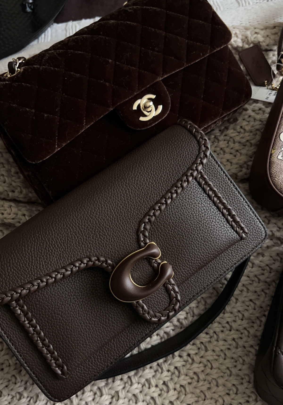 brownaholic🤎🍂🐻🍪