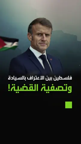 فلسطين بين الاعتراف وتصفية القضية! #جرين_بوكس_مصر