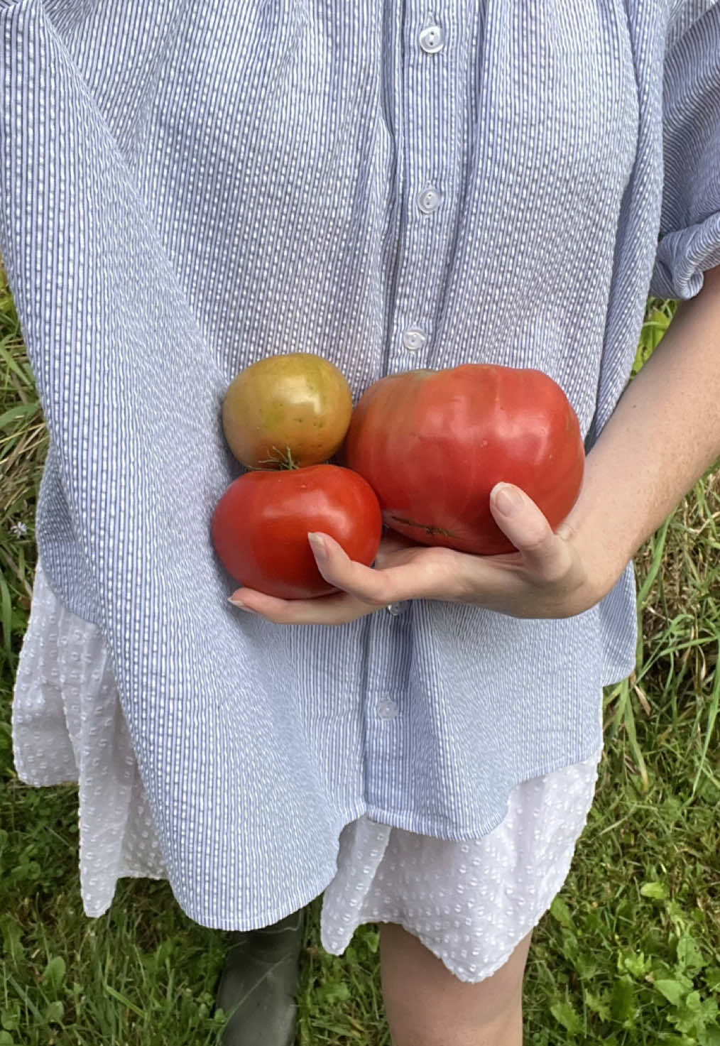 garden fit check 👩🏼‍🌾🍅 picking the last of my tomatoes today!  #gardenfitcheck #OOTD #hunterboots #cottagecoreaesthetic #granolagirlaesthetic 