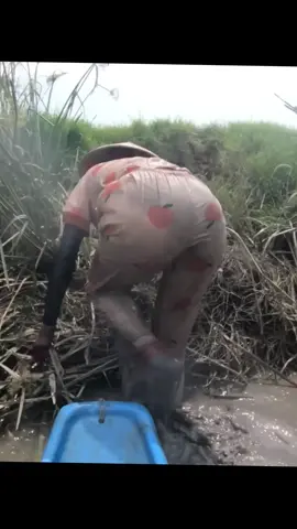 Gái xinh bắt cá mỗi ngày