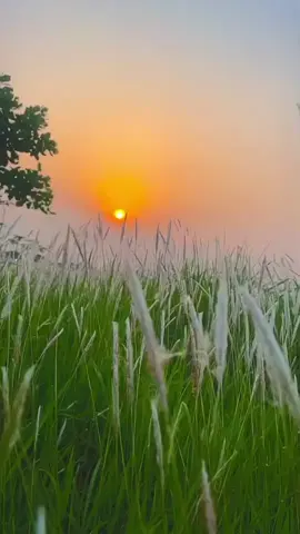 অপেক্ষা এক ধরনের মানসিক যন্ত্রণা,  তারপরও মানুষ মানুষের জন্য অপেক্ষা করে...! 🙂♥️ . . . #fyp #foryou #foryoupage #tiktobangladesh🇧🇩 #unfrezzmyaccount 