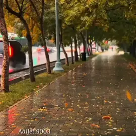 #🍂🍂🍂🍂🍂🍂🍂🍂🍂 