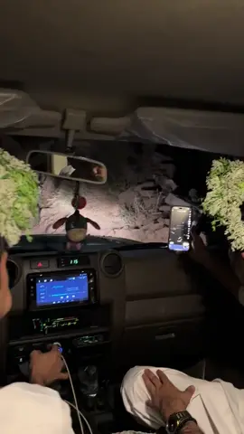 من مثلنا محتفل😍🇸🇦