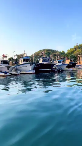 #jijel_____algér⚡❤ #شعب_الصيني_ماله_حل😂😂 