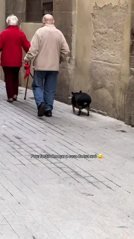 Como é que possível ?? 😅 - - - #portugal🇵🇹 #fy #tuga #viral 