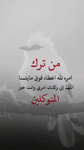 #fyp #explore #تصميم_فيديوهات🎶🎤🎬 #عبارات_دينية #اعادة_النشر🔃 