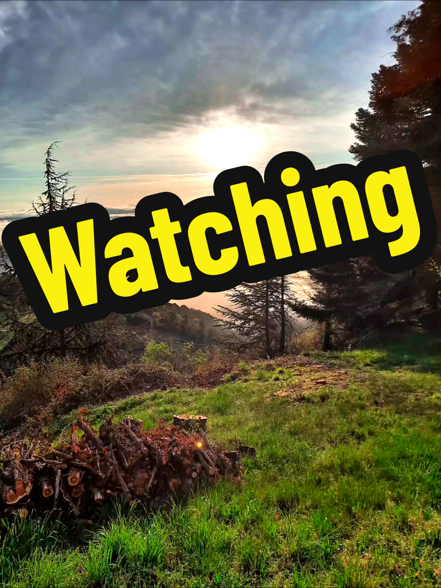 #creatorsearchinsights  #tv #faitsinsolites #pourtoi #LearnOnTikTok #googletv #fyp #movie #serie 