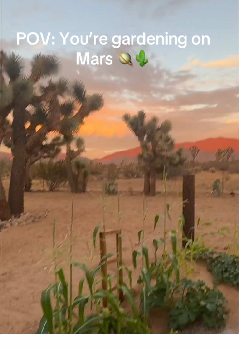 Gardening is always a happy place for me 🥰 #gardening 