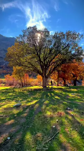 #kurdistan #kurd #fyp #iraq 